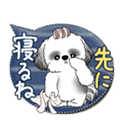 B＆W シーズー犬 2025 「親」（個別スタンプ：39）