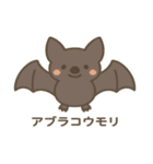 沖縄の動物たち（個別スタンプ：5）