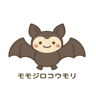 沖縄の動物たち（個別スタンプ：6）