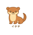 沖縄の動物たち（個別スタンプ：8）