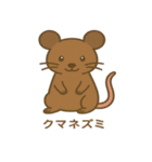 沖縄の動物たち（個別スタンプ：10）