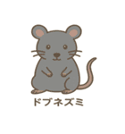 沖縄の動物たち（個別スタンプ：12）