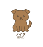 沖縄の動物たち（個別スタンプ：14）