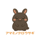 沖縄の動物たち（個別スタンプ：17）