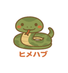 沖縄の動物たち（個別スタンプ：20）