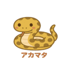 沖縄の動物たち（個別スタンプ：23）