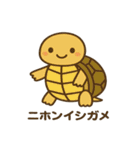 沖縄の動物たち（個別スタンプ：35）