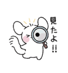 チンチラのチーズ2（個別スタンプ：17）
