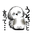 B＆W シーズー犬 2025 「文句と心の声」（個別スタンプ：5）