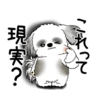 B＆W シーズー犬 2025 「文句と心の声」（個別スタンプ：6）