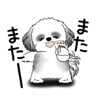 B＆W シーズー犬 2025 「文句と心の声」（個別スタンプ：8）