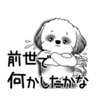 B＆W シーズー犬 2025 「文句と心の声」（個別スタンプ：9）