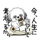 B＆W シーズー犬 2025 「文句と心の声」（個別スタンプ：10）
