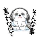 B＆W シーズー犬 2025 「文句と心の声」（個別スタンプ：15）