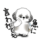 B＆W シーズー犬 2025 「文句と心の声」（個別スタンプ：16）