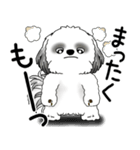 B＆W シーズー犬 2025 「文句と心の声」（個別スタンプ：18）