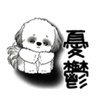 B＆W シーズー犬 2025 「文句と心の声」（個別スタンプ：20）