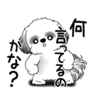 B＆W シーズー犬 2025 「文句と心の声」（個別スタンプ：21）