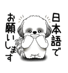 B＆W シーズー犬 2025 「文句と心の声」（個別スタンプ：22）