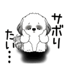 B＆W シーズー犬 2025 「文句と心の声」（個別スタンプ：24）