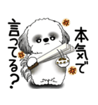 B＆W シーズー犬 2025 「文句と心の声」（個別スタンプ：27）