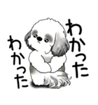 B＆W シーズー犬 2025 「文句と心の声」（個別スタンプ：30）