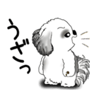 B＆W シーズー犬 2025 「文句と心の声」（個別スタンプ：33）