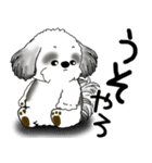 B＆W シーズー犬 2025 「文句と心の声」（個別スタンプ：34）