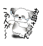 B＆W シーズー犬 2025 「文句と心の声」（個別スタンプ：37）