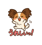ふわもこパピヨンのやさしいきもち（個別スタンプ：1）