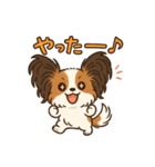 ふわもこパピヨンのやさしいきもち（個別スタンプ：2）
