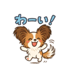 ふわもこパピヨンのやさしいきもち（個別スタンプ：3）