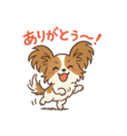 ふわもこパピヨンのやさしいきもち（個別スタンプ：4）