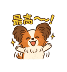 ふわもこパピヨンのやさしいきもち（個別スタンプ：5）