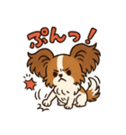 ふわもこパピヨンのやさしいきもち（個別スタンプ：9）