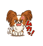 ふわもこパピヨンのやさしいきもち（個別スタンプ：10）