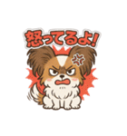 ふわもこパピヨンのやさしいきもち（個別スタンプ：12）