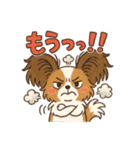 ふわもこパピヨンのやさしいきもち（個別スタンプ：13）
