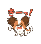ふわもこパピヨンのやさしいきもち（個別スタンプ：14）