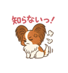 ふわもこパピヨンのやさしいきもち（個別スタンプ：15）