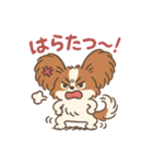 ふわもこパピヨンのやさしいきもち（個別スタンプ：16）