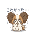 ふわもこパピヨンのやさしいきもち（個別スタンプ：21）