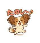 ふわもこパピヨンのやさしいきもち（個別スタンプ：25）
