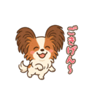 ふわもこパピヨンのやさしいきもち（個別スタンプ：28）