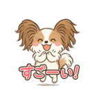 ふわもこパピヨンのやさしいきもち（個別スタンプ：30）
