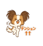 ふわもこパピヨンのやさしいきもち（個別スタンプ：31）