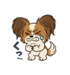 ふわもこパピヨンのやさしいきもち（個別スタンプ：32）