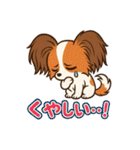 ふわもこパピヨンのやさしいきもち（個別スタンプ：39）
