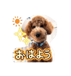 むっくスタンプー（個別スタンプ：2）