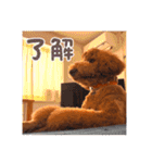 むっくスタンプー（個別スタンプ：4）